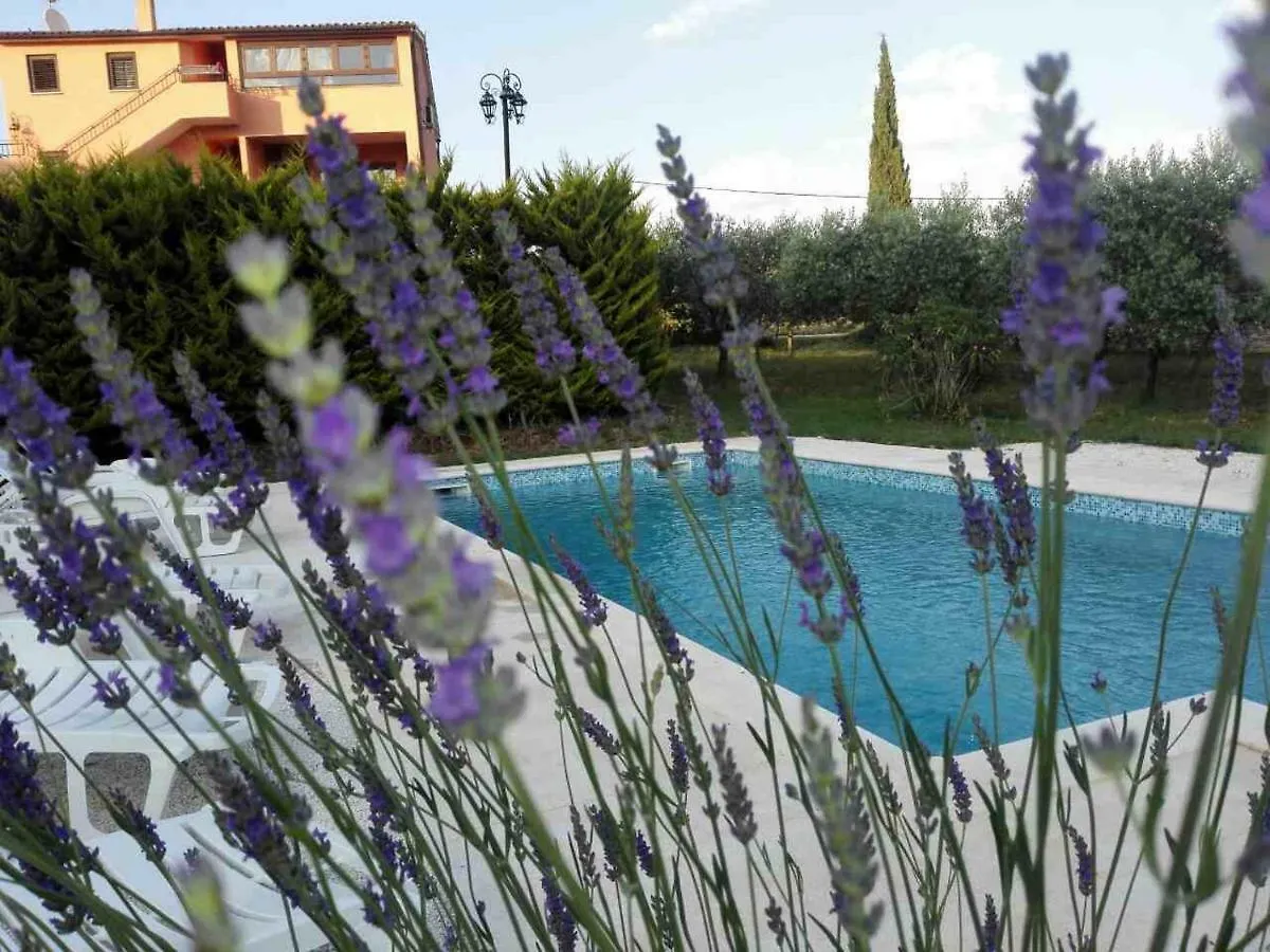 Apartment Rojnic Galizana